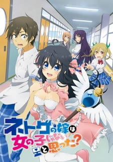 Ver Netoge no Yome wa Onnanoko ja Nai to Omotta?