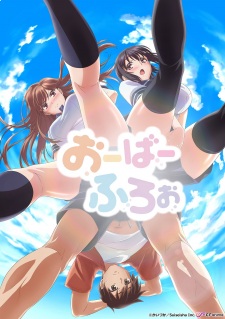 Ver Overflow