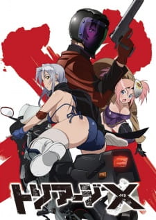 Ver Triage X